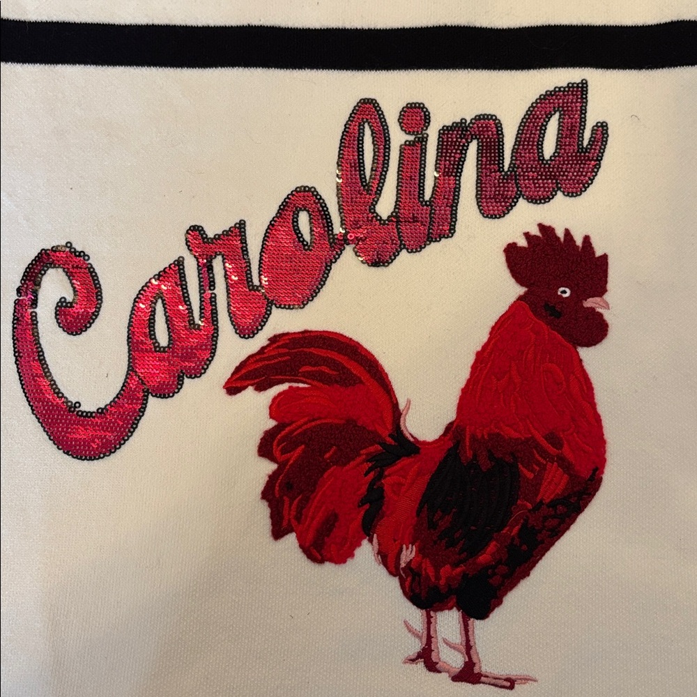 Queen of Sparkles “Carolina Gamecocks” striped short sleeve sweater top - Picture 8 of 8